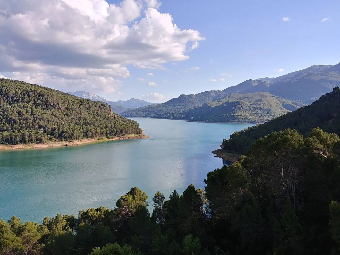 Embalse del Tranco rodeado de pinares