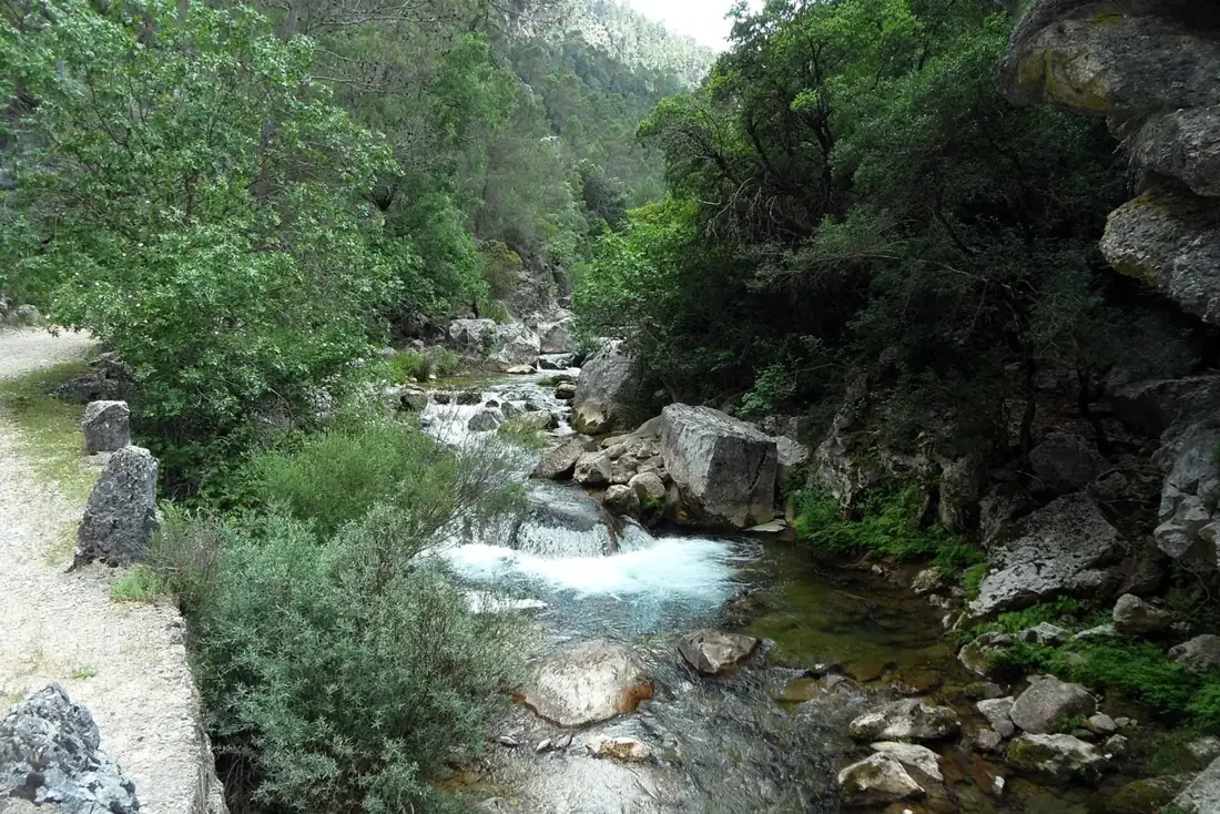 Río Borosa entre rocas y vegetación